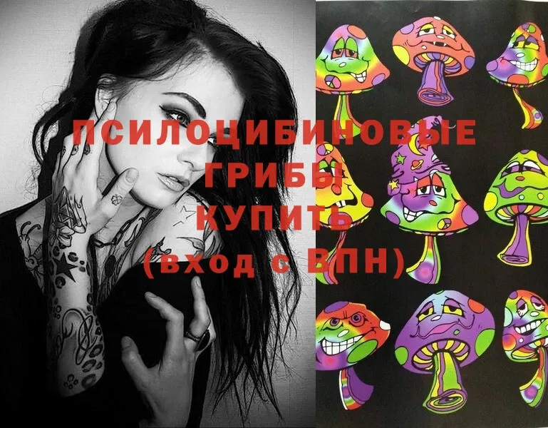 Псилоцибиновые грибы Magic Shrooms Валдай